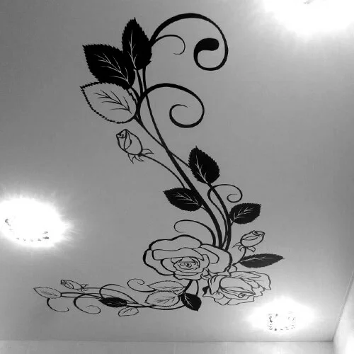 Фотопечать на натяжных потолках